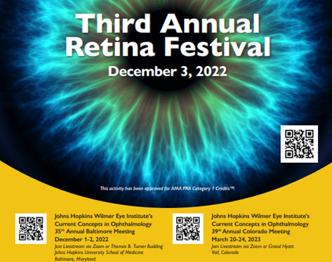 Third Annual Retina Festival Banner