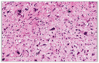 80038735 - (EM) 15th Annual Current Topics in Gastrointestinal and Liver Pathology Banner